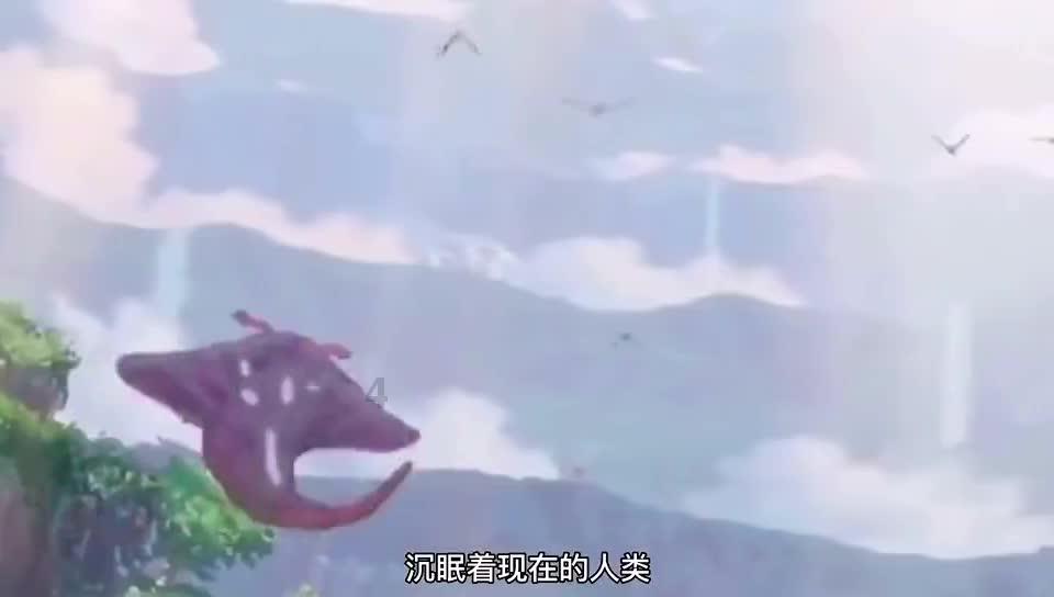 现代女孩的衣柜