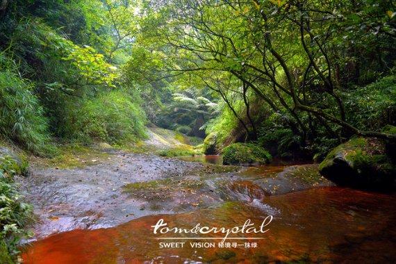 加勒比海度假村