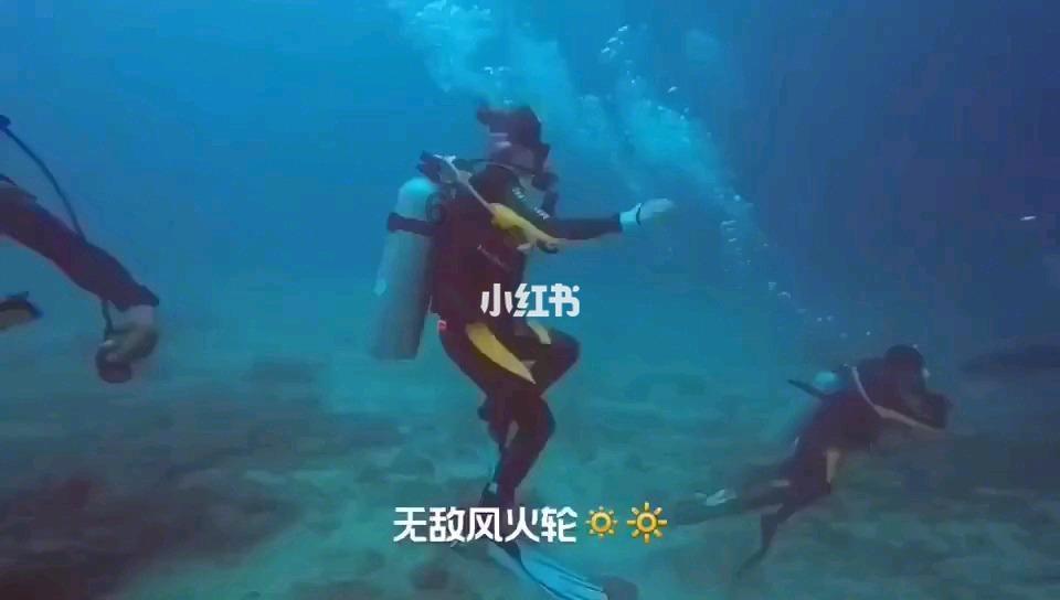 植物大战僵尸10